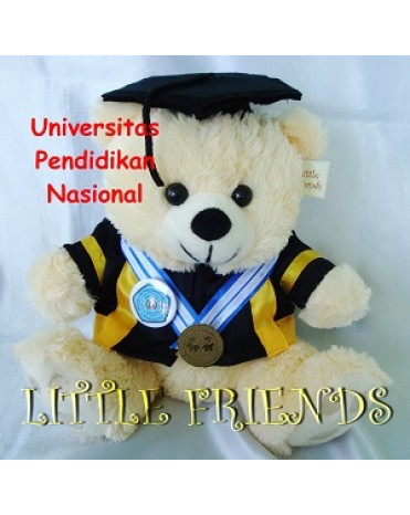 Boneka Wisuda Universitas Pendidikan Nasional - Ekonomi (30 cm)